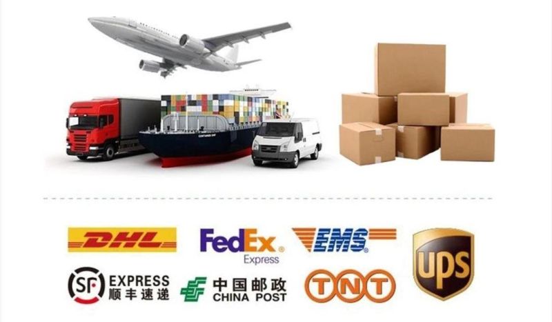 High Quality Car Auto Parts Rear Fog Lamp Right for Changan Star M201 (3732040-Y01)
