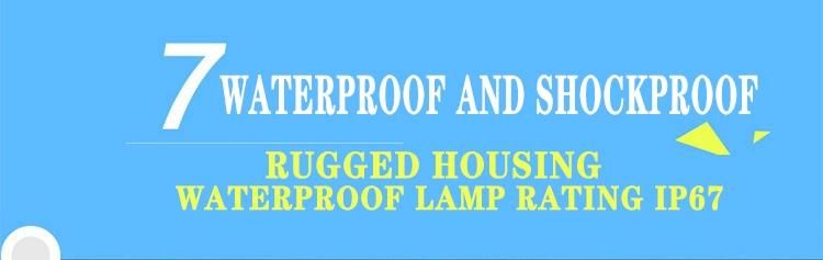Universal LED Fog Lamp 25W Dual High and Low Beam 6000K and 3000K for Auto and Motorbilke
