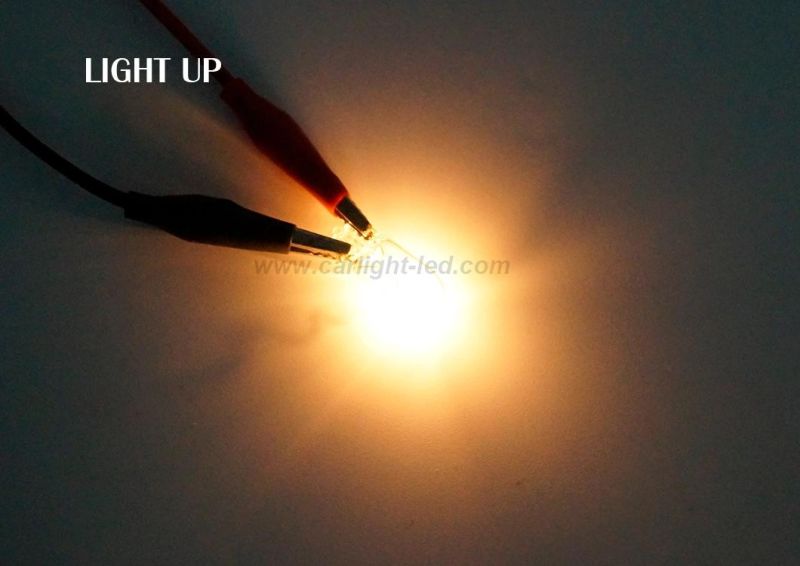 Car Original Light W3w W5w Halogen Car Light
