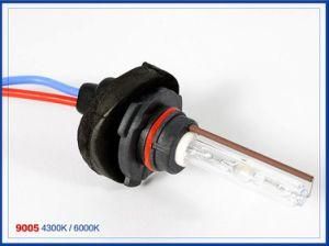 Top Manufacturer Cnlight Vehicle Spare Parts Exterior Lights