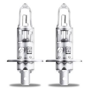 H1 12V 55W P14.5s Foshan Factory Super White Blue Auto Bulbs Lights Lamps Headlight Halogen for Car Bus and Truck, Auto Lamp