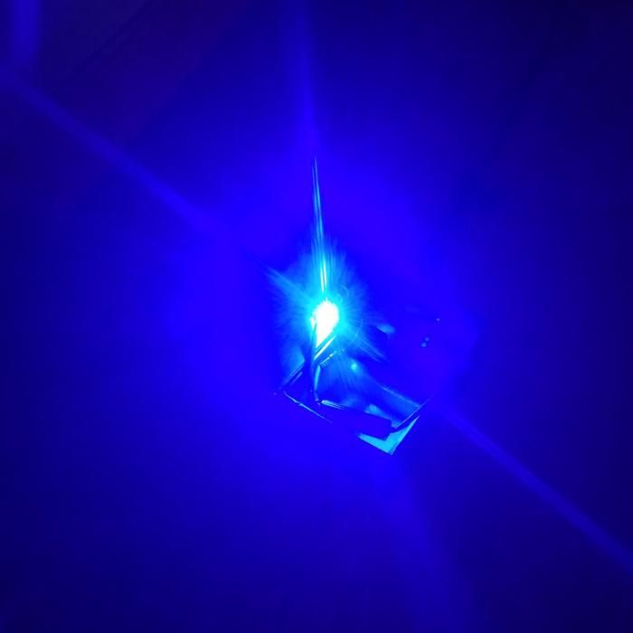 Blue 40W H8 LED Angel Eyes Headlight