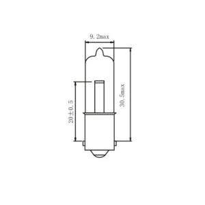 H21W 24V 21W Bay9s International Standard Auto Bulbs Backup Fog Stop Tail Turn Lights Halogen Lamps for Car Bus and Truck.