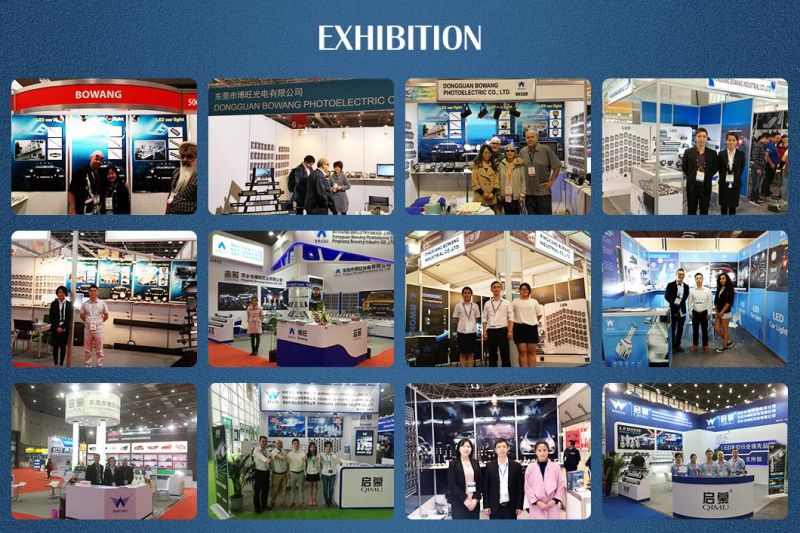 194 LED Light Bulb LED Car Light Canbus Car Light