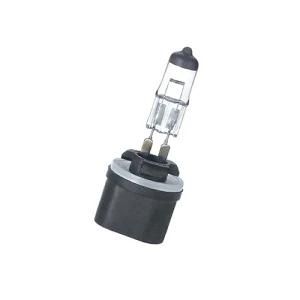 880 H27W-1 12V 27W Pg13 Good Sale International Standard Auto Parts Headlight Bulbs Auto Lights Halogen Lamps for Car Bus and Truck