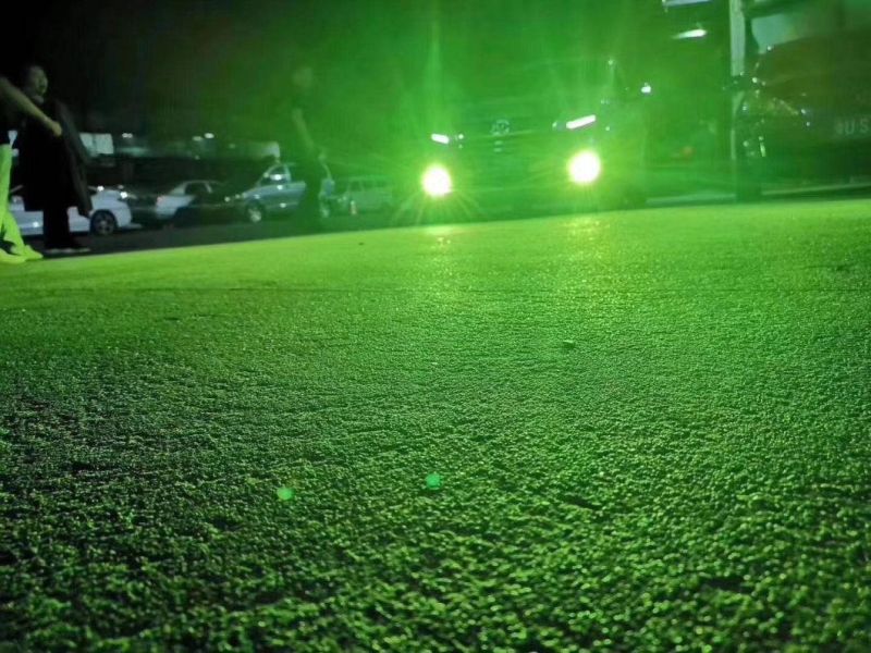 Car LED Auto Lamps Green Lemon Fog Lights H11 H27 880 H3 LED Motorcycle Fog Lights