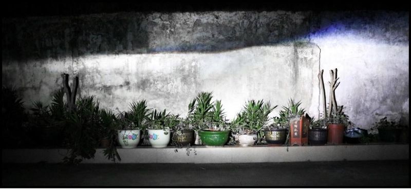Car Styling 3 Color 3000K 6500K 8000K All in 1 80W 360° Bright COB Auto LED 9006 9005 H11 H4 H7 LED Headlight 12V