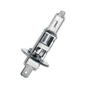 H1 24V 70W P14.5s International Standard Auto Bulbs Lights Headlight Lamps Halogen for Car Bus and Truck