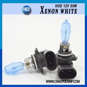 Super Power Halogen Lamp Auto Hod Headlamp Bulbs 9005 12V 100W