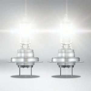 H7 12V 55W Px26D Super Bright Premium Auto Bulbs Fog Lamps Turn Halogen Lights Signal Headlight for Car Bus and Truck